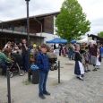Maibaum015