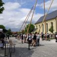 Maibaum077