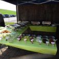 Gartenfest18021