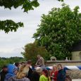 Maibaum021