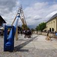 Maibaum087