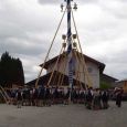 Maibaum134