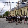 Maibaum064