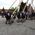 Maibaum152