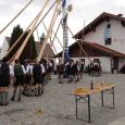 Maibaum155