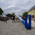 Maibaum048