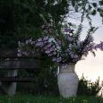 Mainandacht019