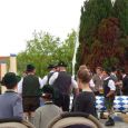 Maibaum019