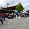 Maibaum049