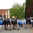 Maibaum009